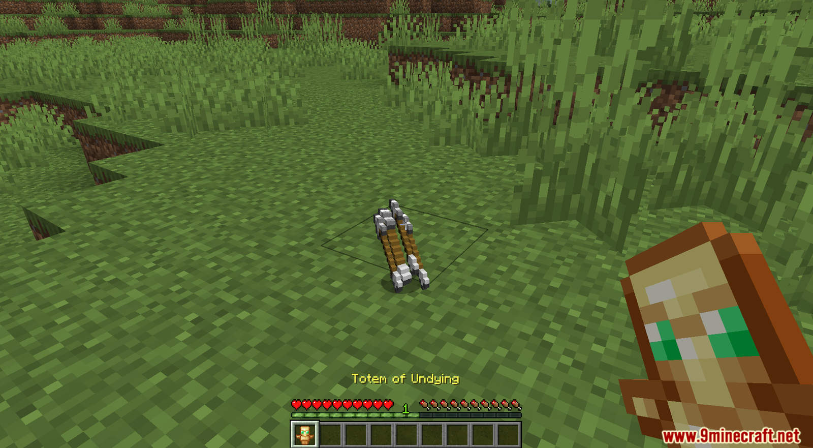 Custom Arrows Data Pack 1.17.1/1.16.5 (Powerful Arrows)