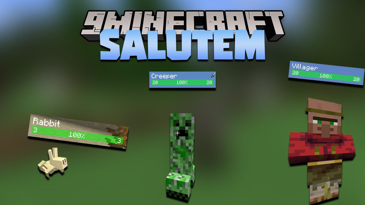 Salutem Mod 1.17.1 (Floating Health Bar)