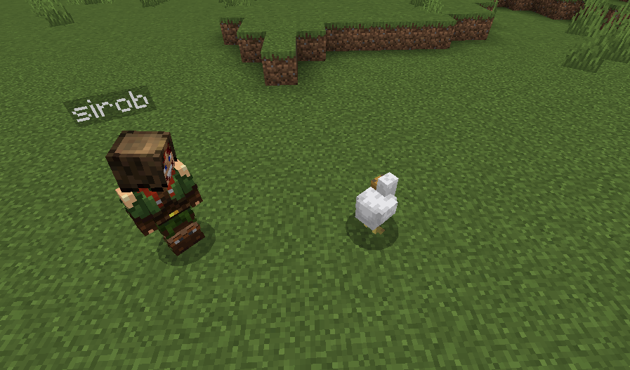 Pick Up & Carry Addon (1.21, 1.20) MCPE/Bedrock Mod