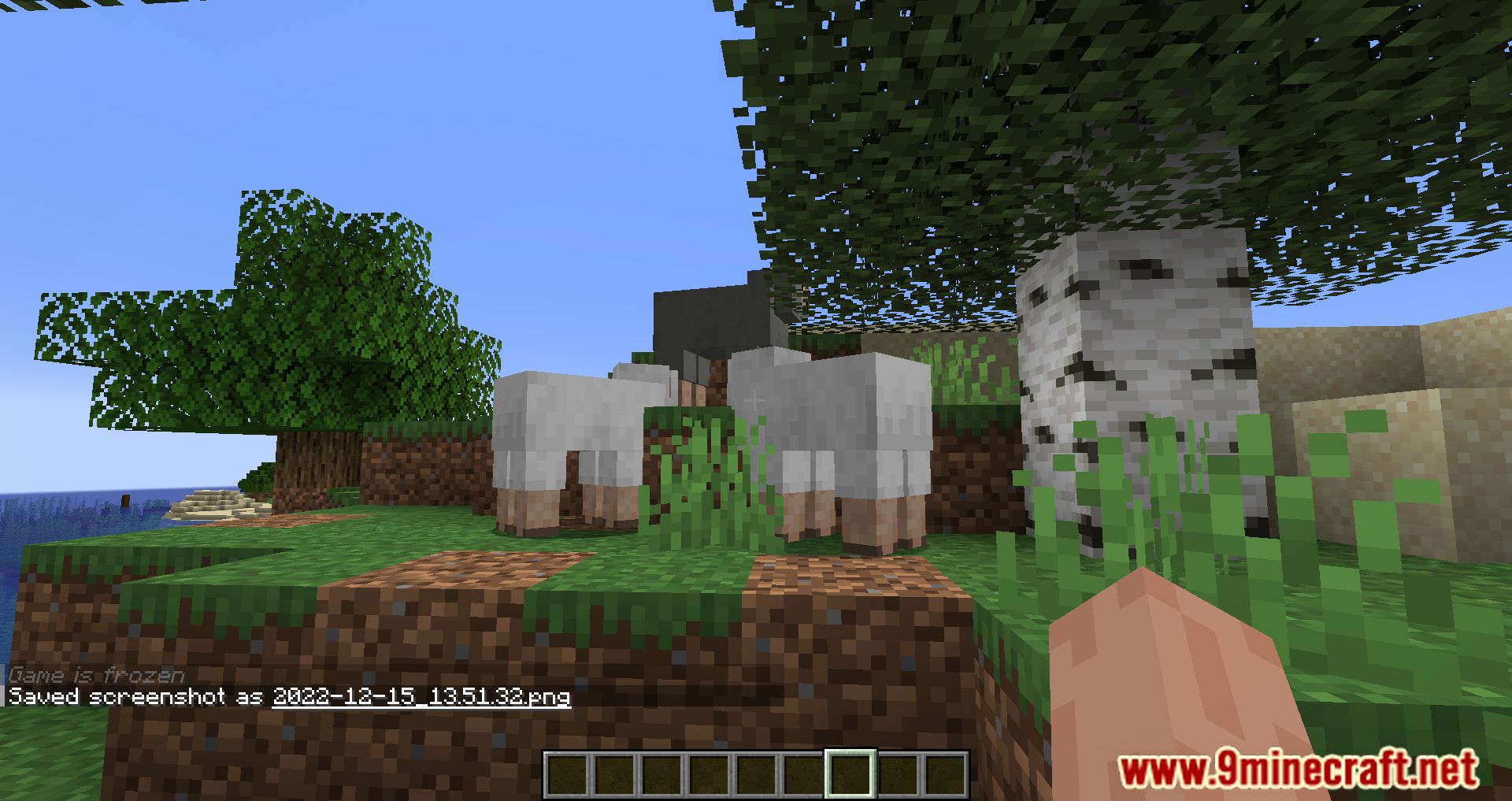 Carpet Mod (1.21.1, 1.20.1) the God of the Game