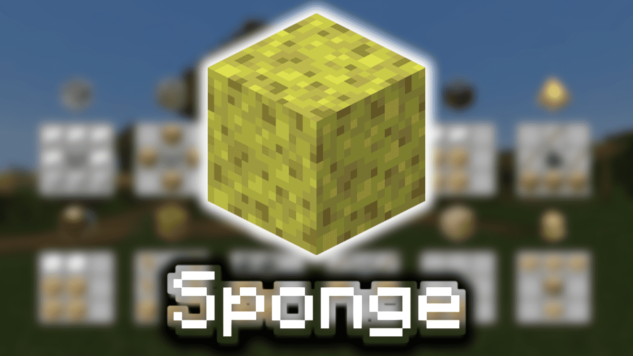 Sponge Wiki Guide