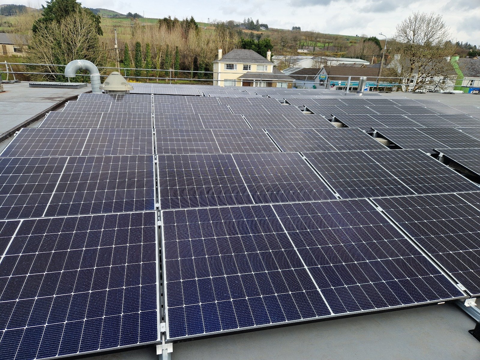 Foamy Frustrations Why Your Keg is Making Foamy Pints 9 White Deer