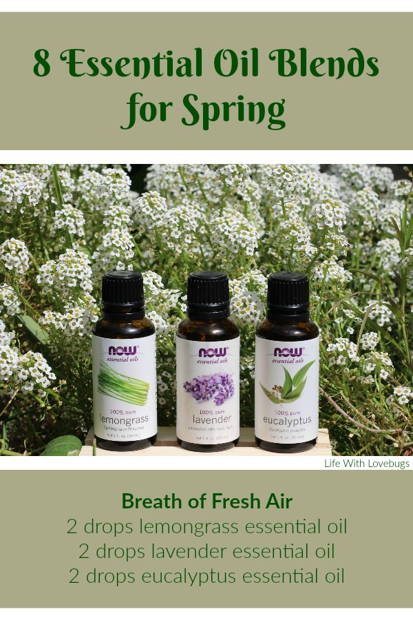 Spring Essential Oil Blends Life With Lovebugs