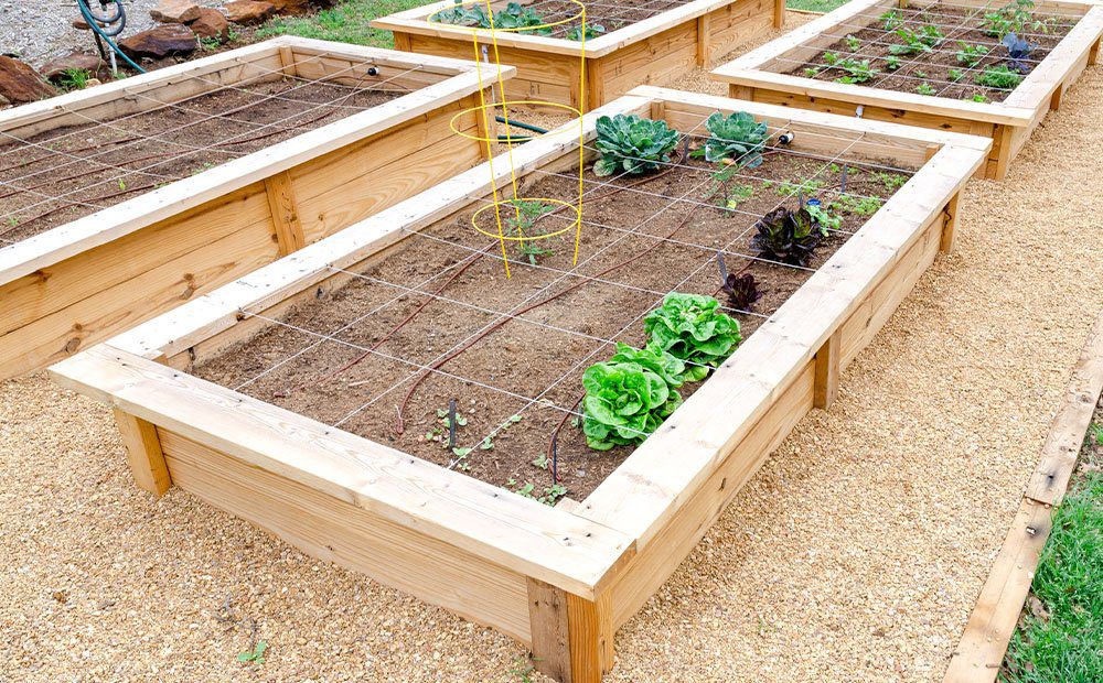 Should You Drill Holes in the Bottom of a Raised Garden Bed? A Garden