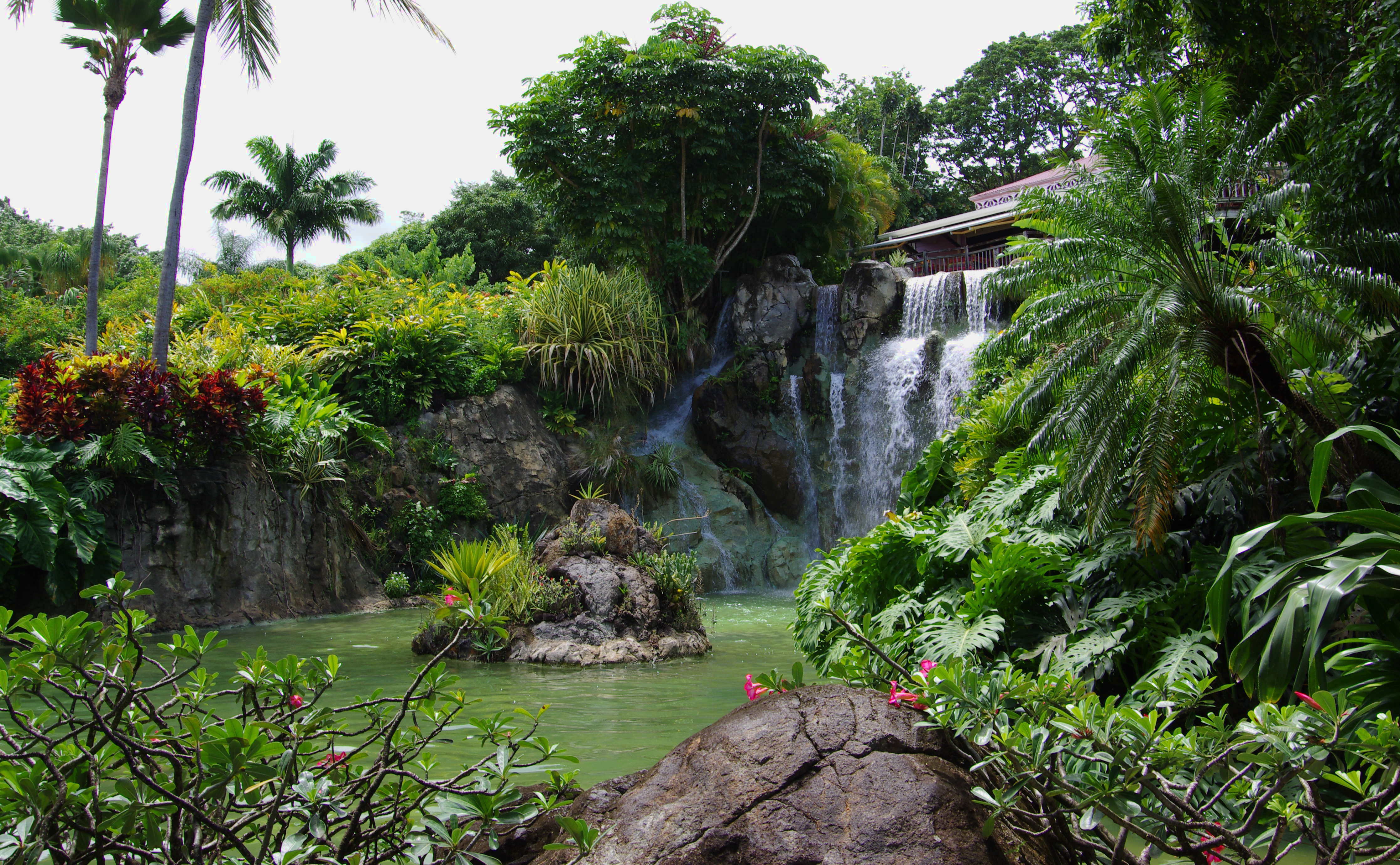 Guadeloupe Jardin de Coluche Guadeloupe Jardin de Coluche
