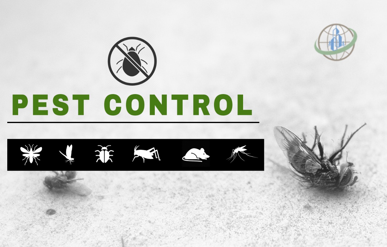 Best Home Cleaning services in Kolkata Book Online