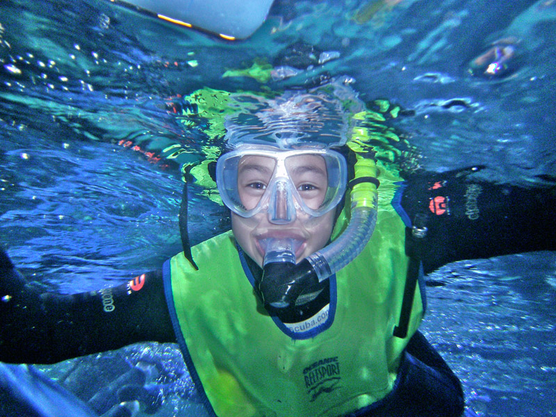 Swim With The Fish Dive the Downtown Aquarium with A1 Scuba