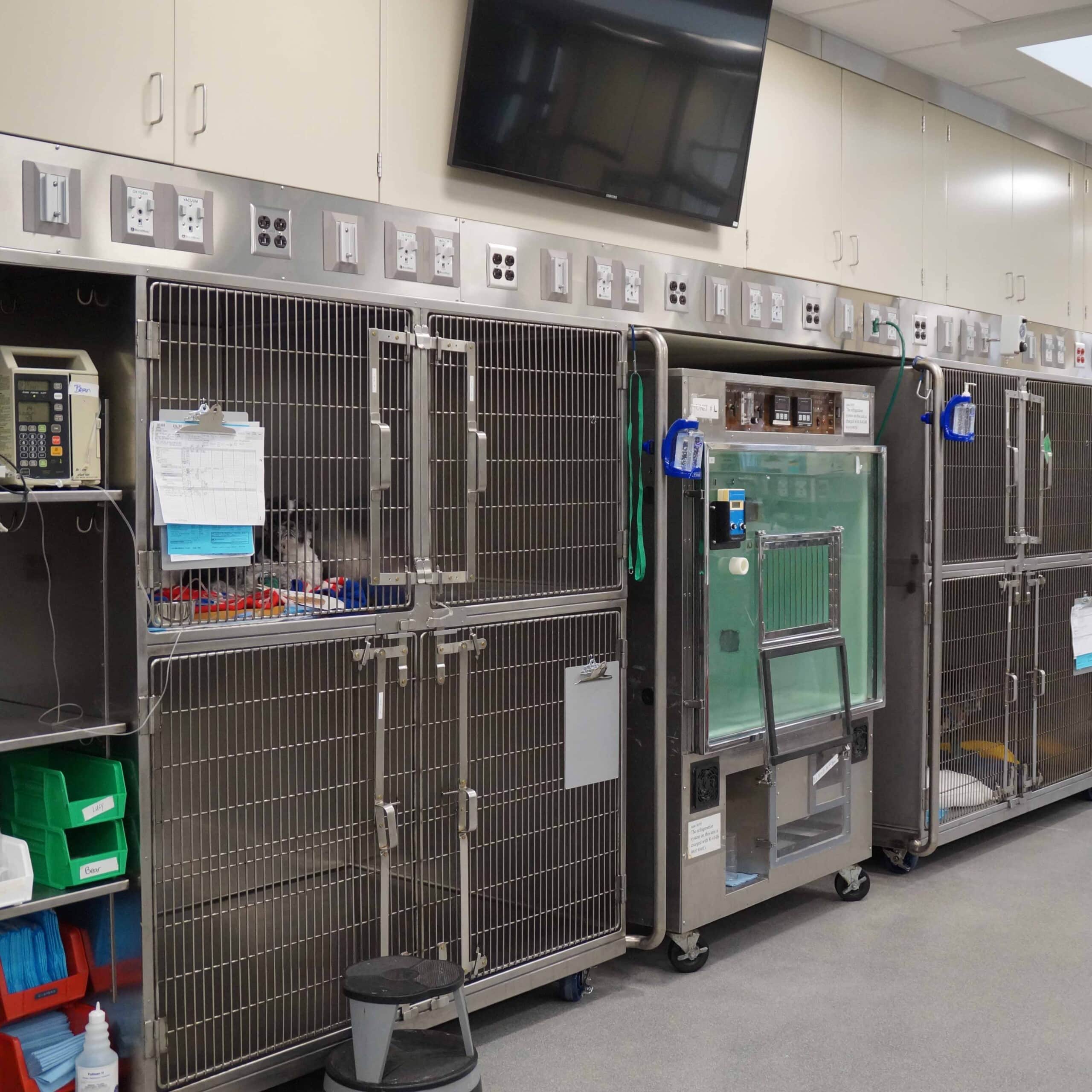 Michigan State University Veterinary Teaching Hospital Critical Care Unit A3C Collaborative