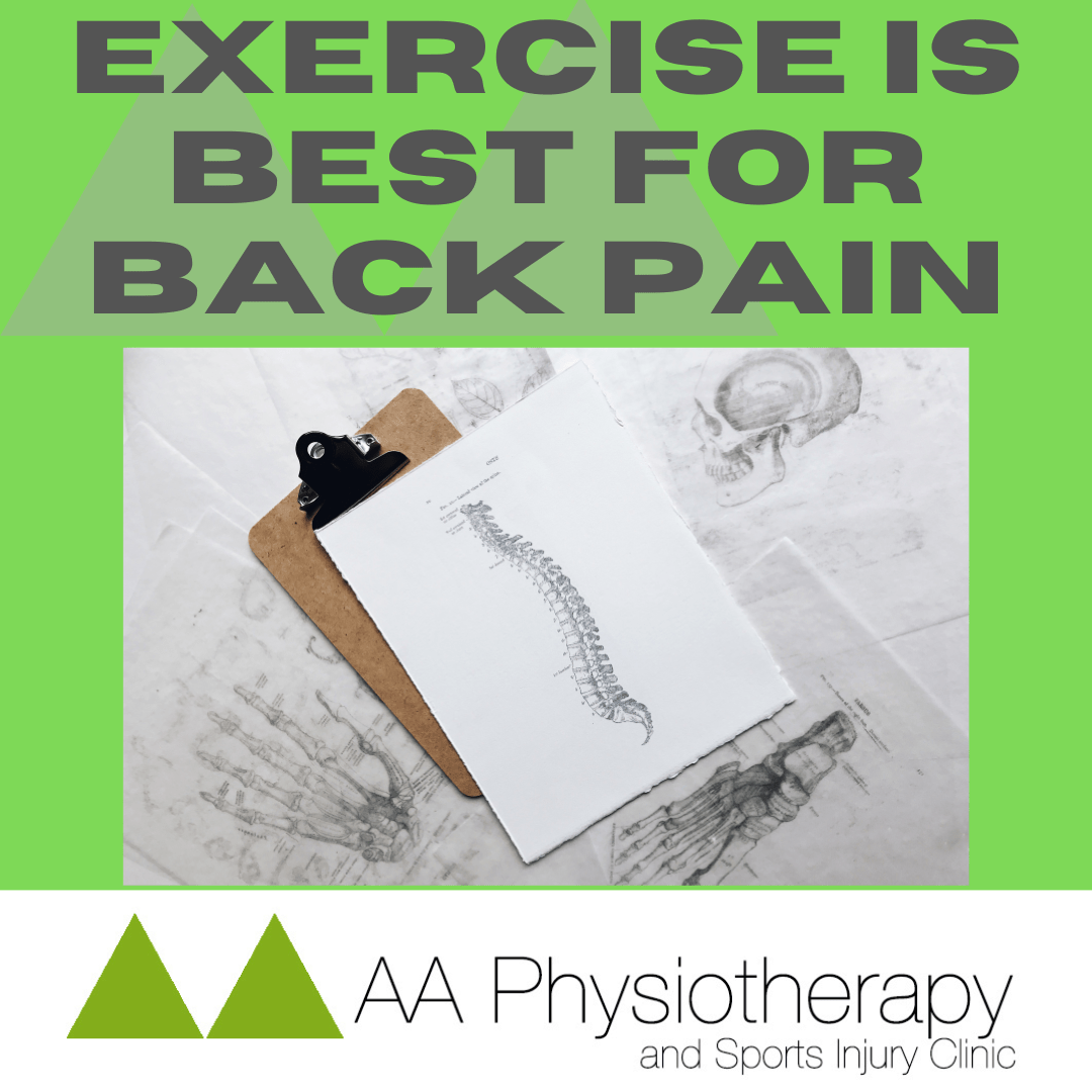 EXERCISE SHOWN TO BE BEST FOR BACK PAIN AA Physiotherapy, Murwillumbah