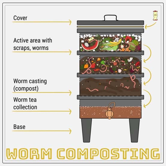 Compost Bin How they Work and Uses AAAK