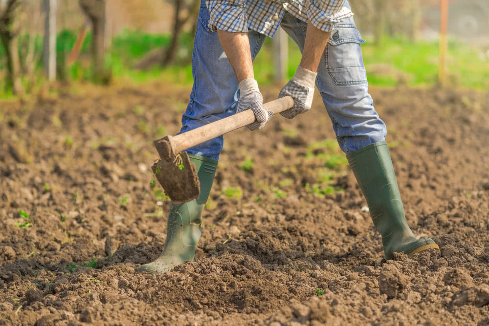 Digging Techniques in Gardening - Al Ardh Alkhadra