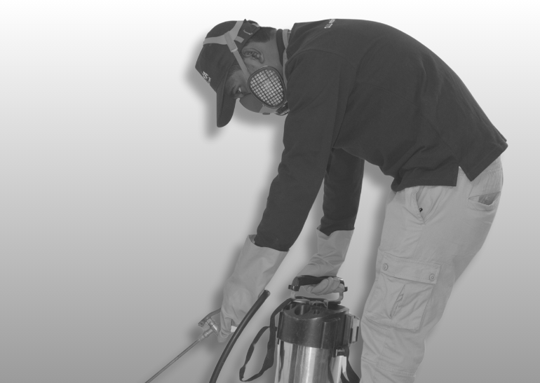 Bed Bug Control In Dubai. The Best Pest Control in the UAE.