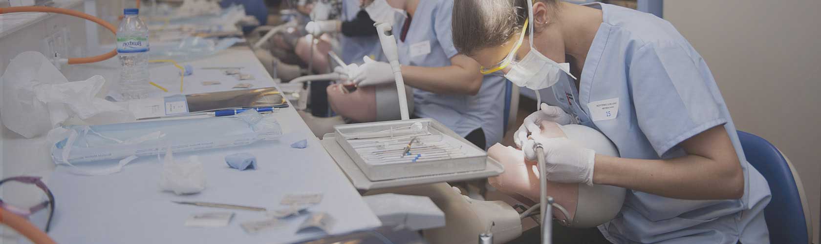 Dental Courses