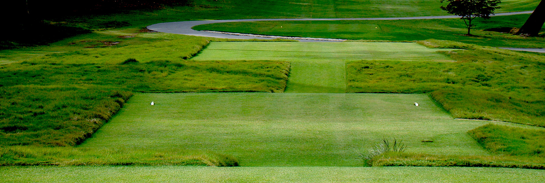 AAG Asociación Argentina de Golf