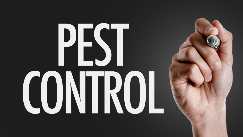 Pest Control Cleaning Tips AAI Pest Control Pest Control Company