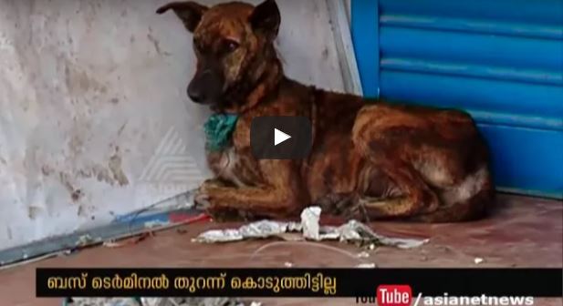 Munnar KSRTC Bus stands' Pathetic Condition Aanavandi Travel Blog
