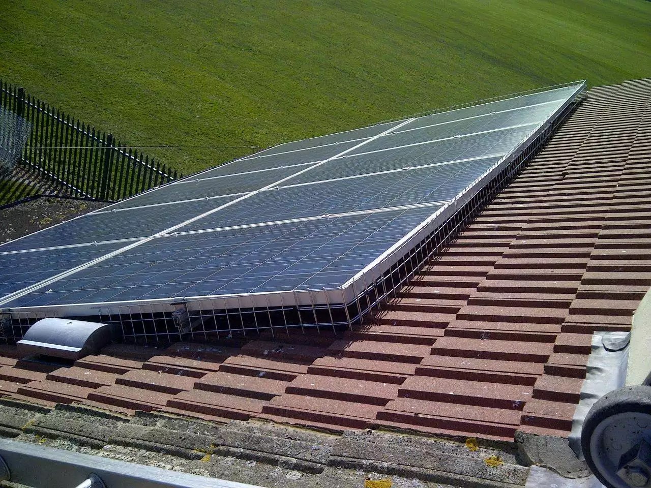 Pigeons Under Solar Panels UK Solar Panel Bird Proofing; Cost