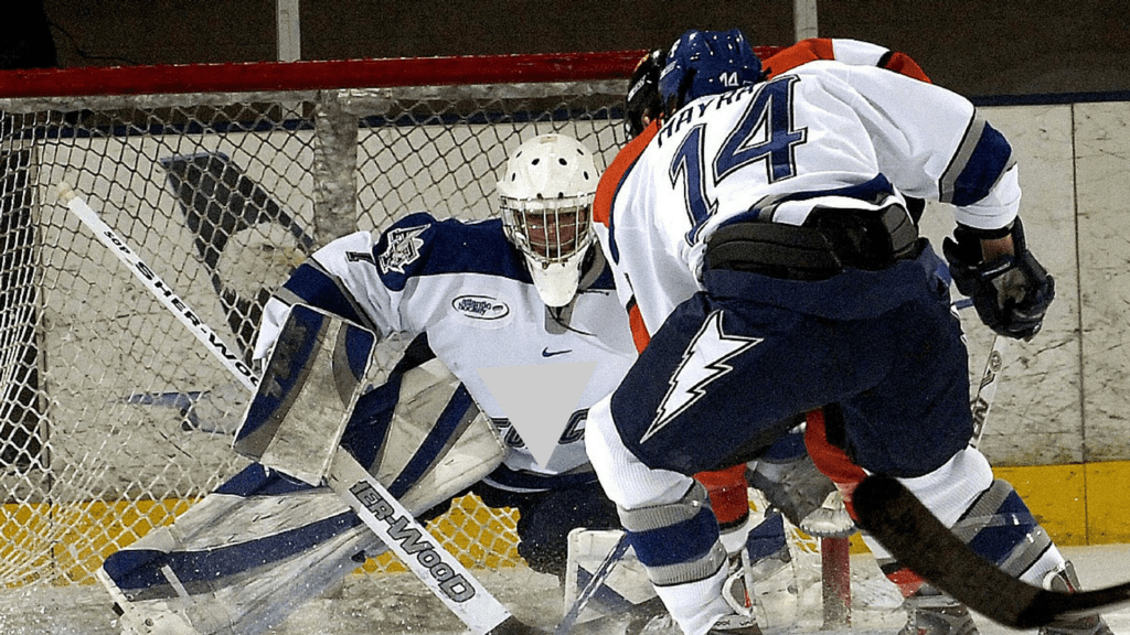 Without a Mask Hockey’s Daredevil Goalies Algonquin Area Public Library