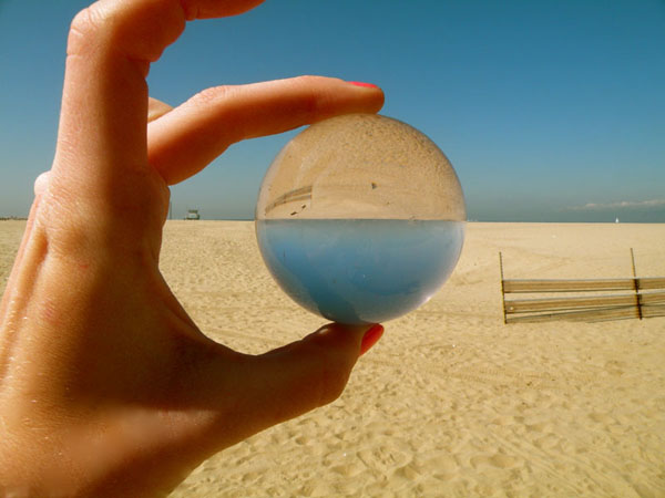 15 Ideas for Using Digital Cameras in Science ActionReaction