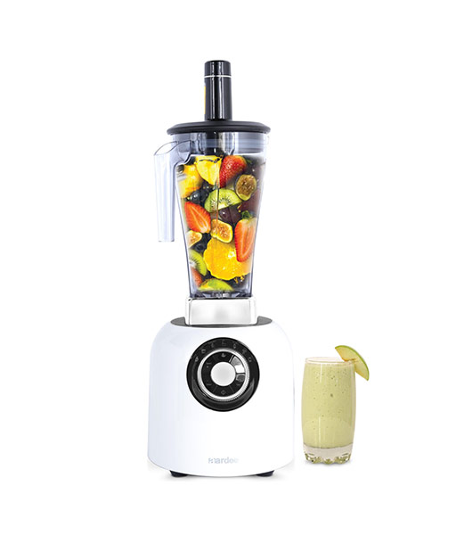 MULTIFUNCTION POWER BLENDER aardee