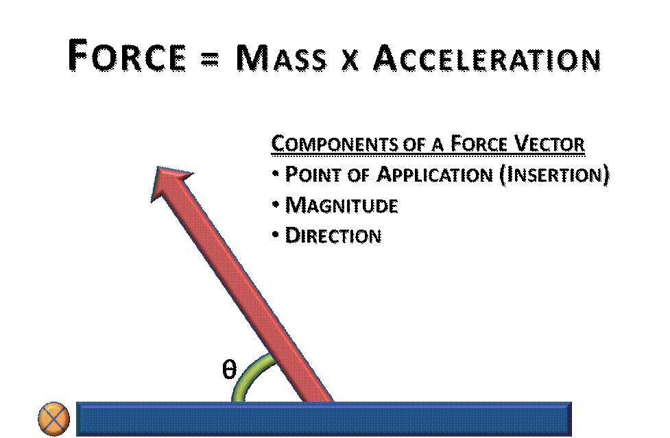Basic Biomechanics Force