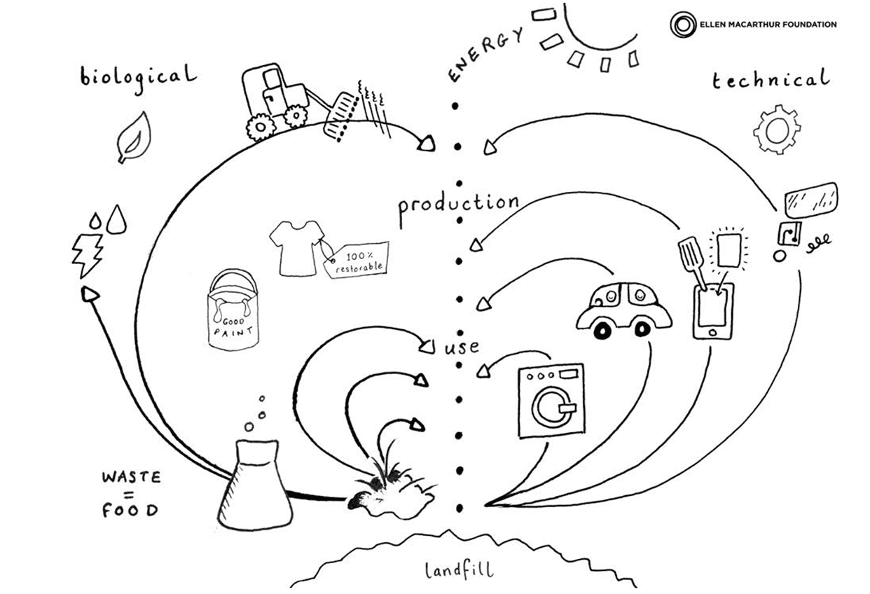 What is Circular Design