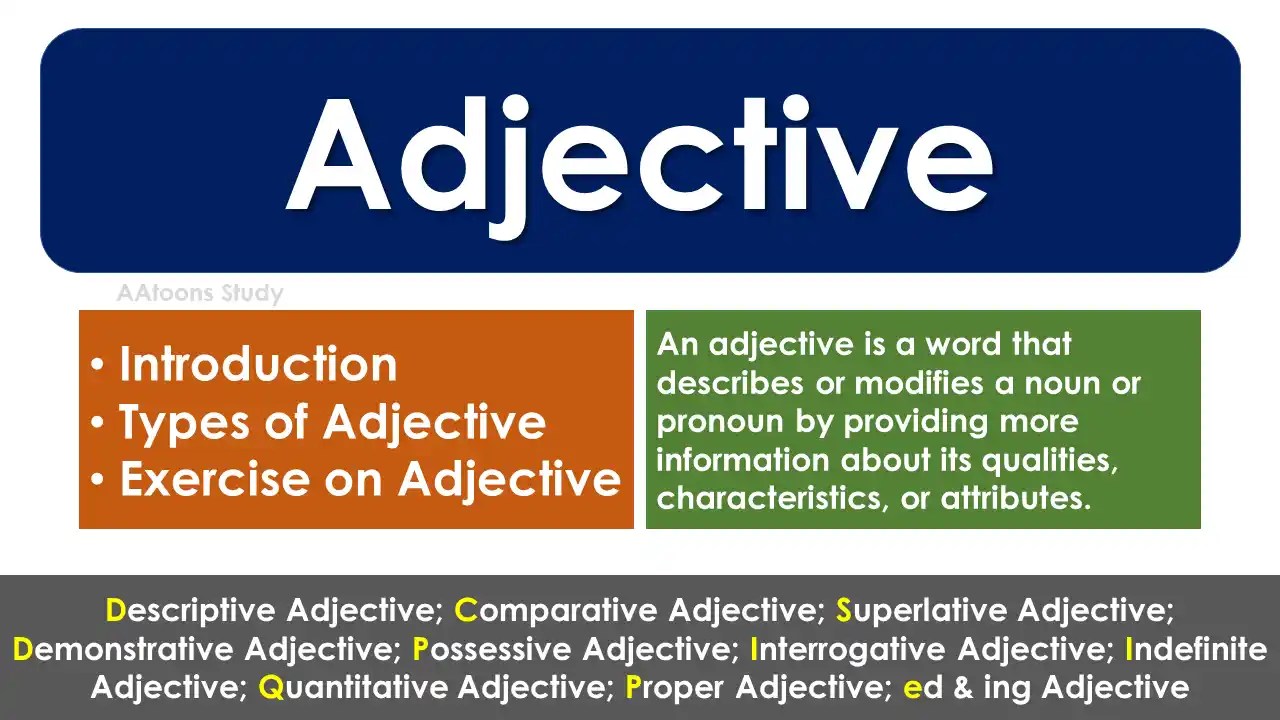 Adjective Introduction Types Exercise AAtoons Study