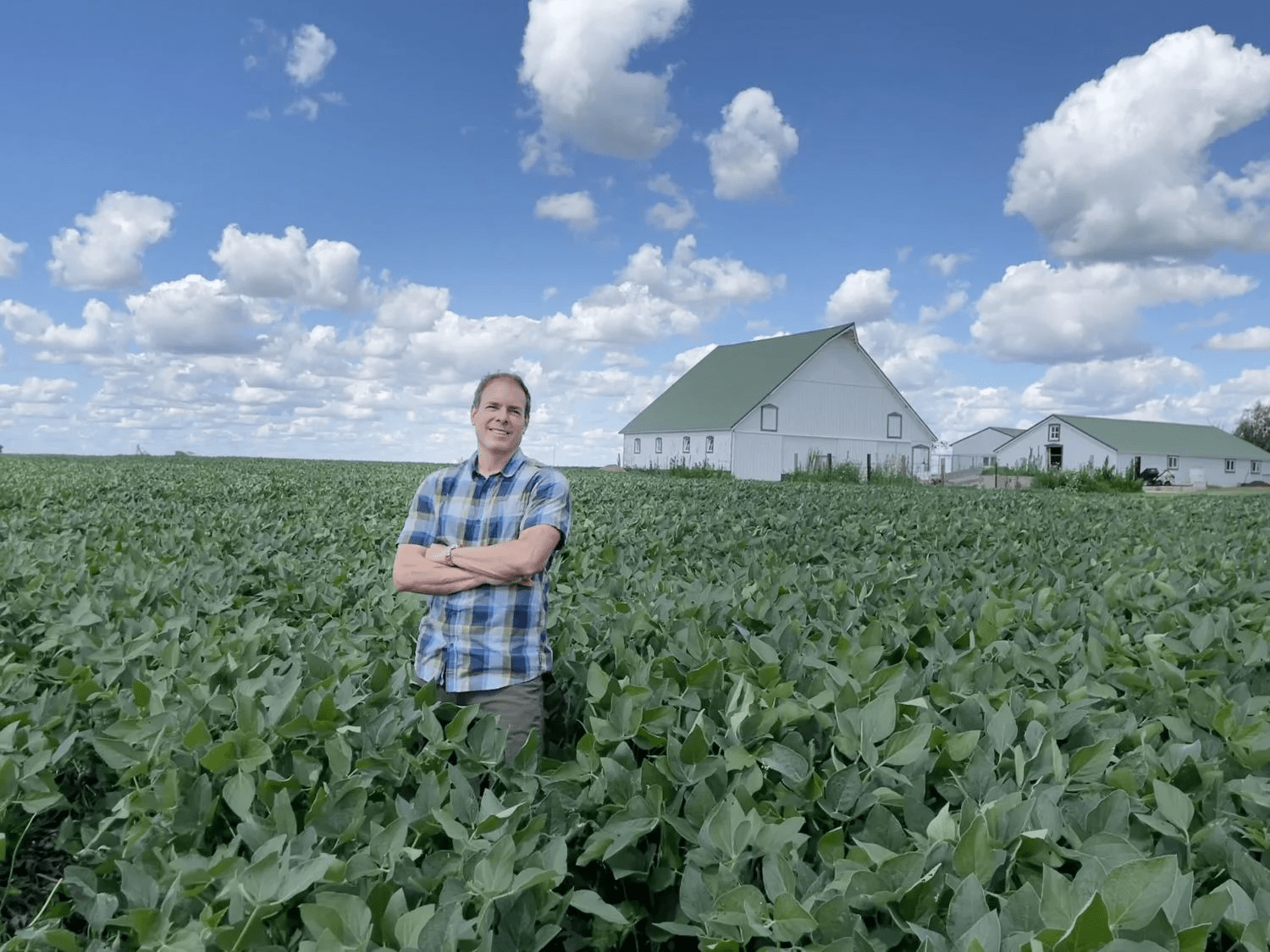 New ‘Magic Soybeans’ Produce Ingredients for Cancer Treatments