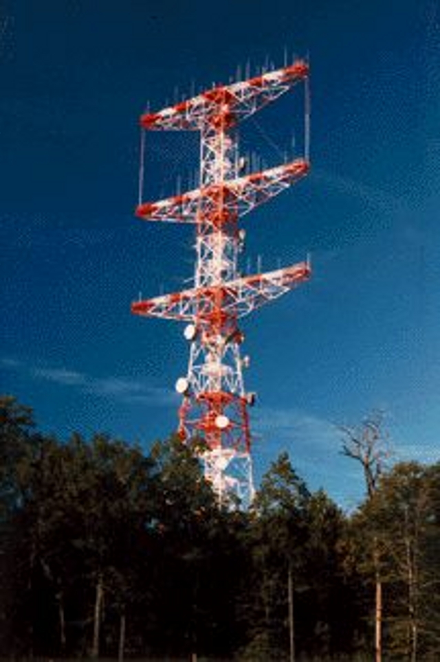 September 11 TV Reshuffle