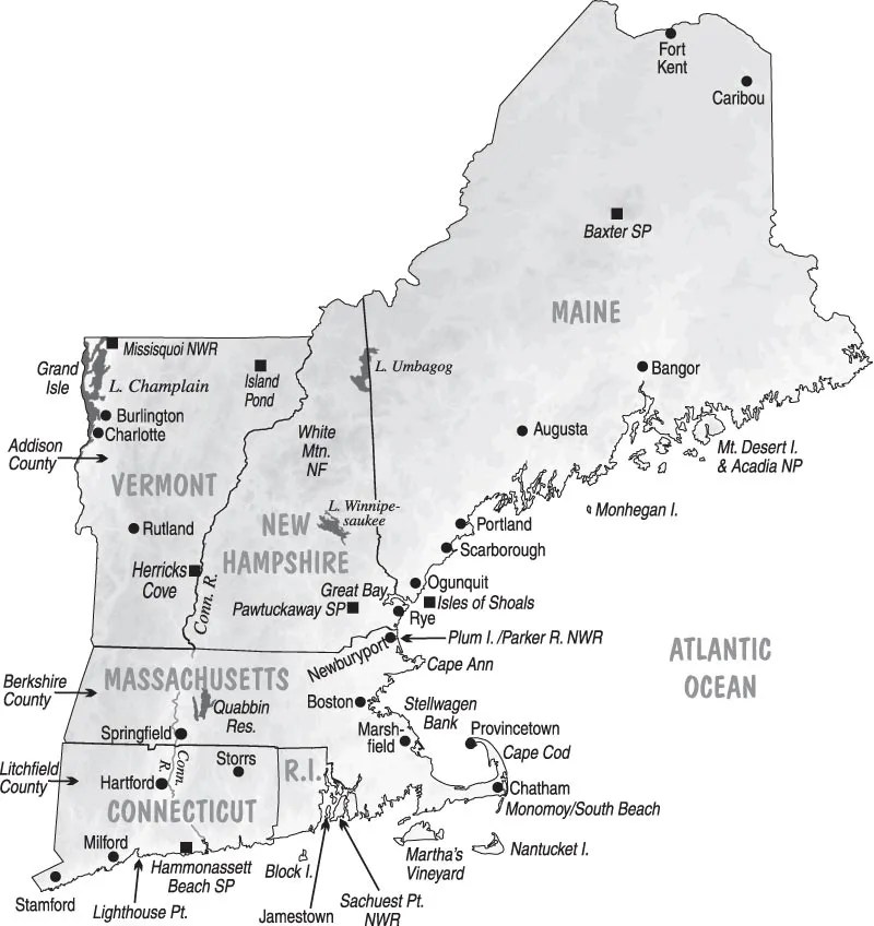New England Region Spring 17 American Birding Association