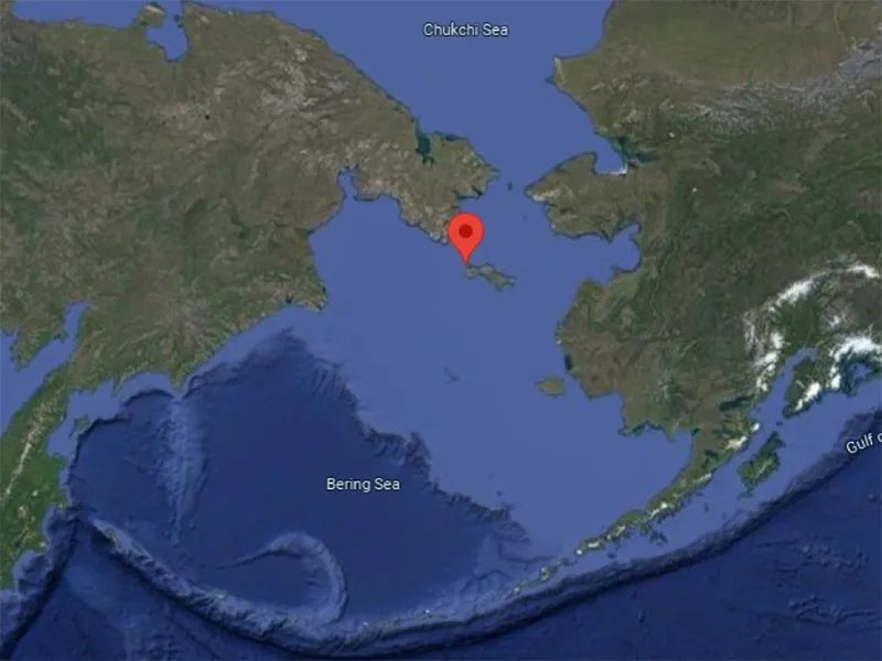 Early Fall 2021 at Gambell American Birding Association