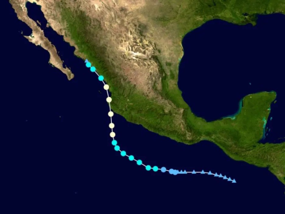 Hurricane Nora Report American Birding Association