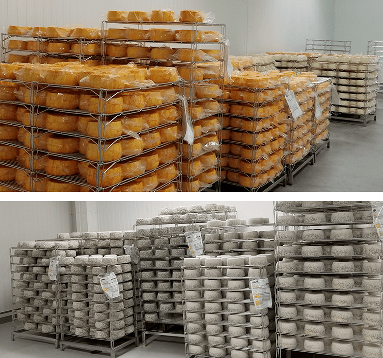 Cheese Abbaye de SaintBenoîtduLac