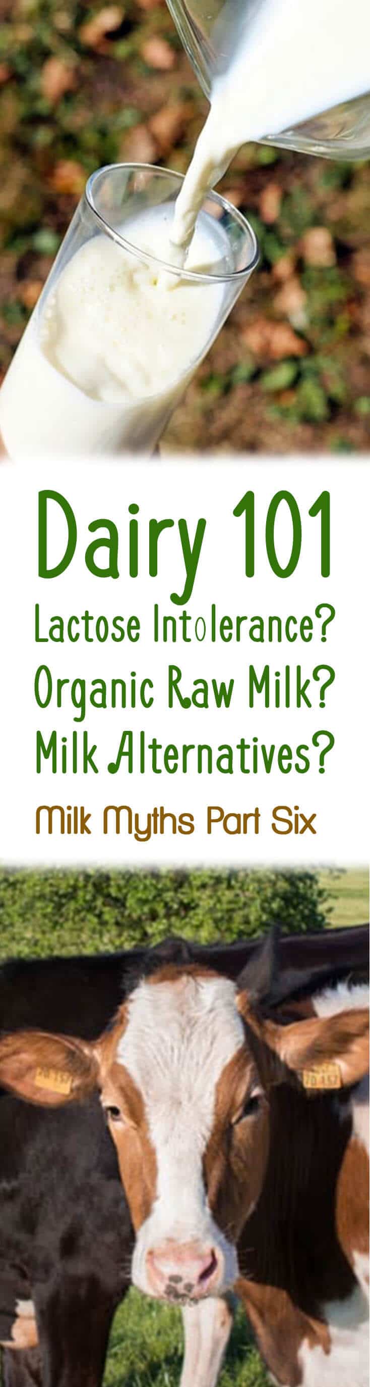 Dairy 101 Lactose Intolerance? Organic Raw Milk? Milk Alternatives