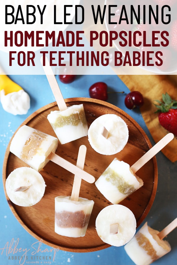 Homemade Popsicles BLW Recipe for Teething Babies Abbey's Kitchen