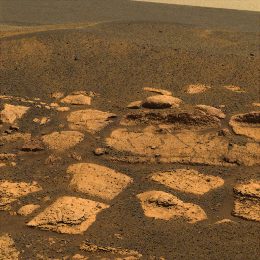 'Martian Blackberries' scatter along Utah