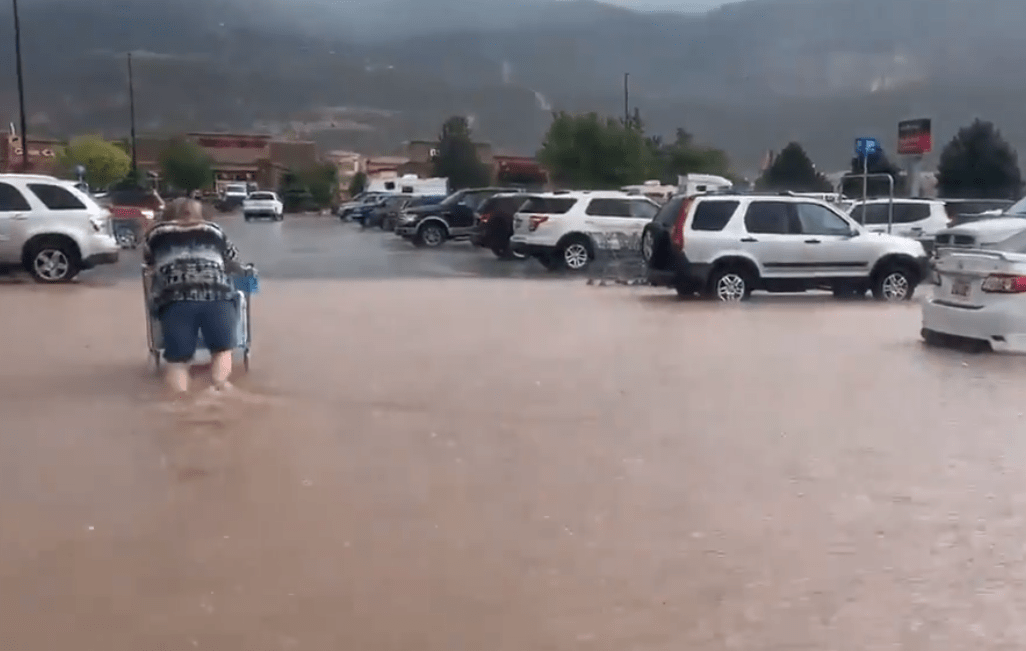 Aprender acerca 165+ imagen walmart cedar city Thptletrongtan.edu.vn