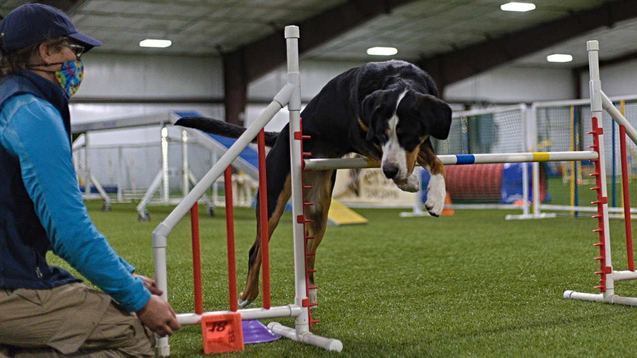 Best places to take your dog in Utah? ABC4