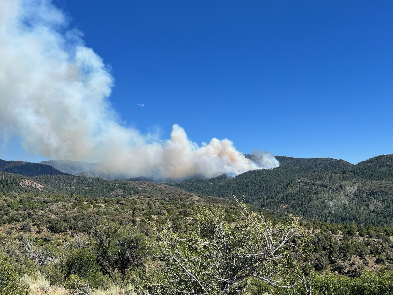 UPDATE Thompson Ridge Fire containment now at 29