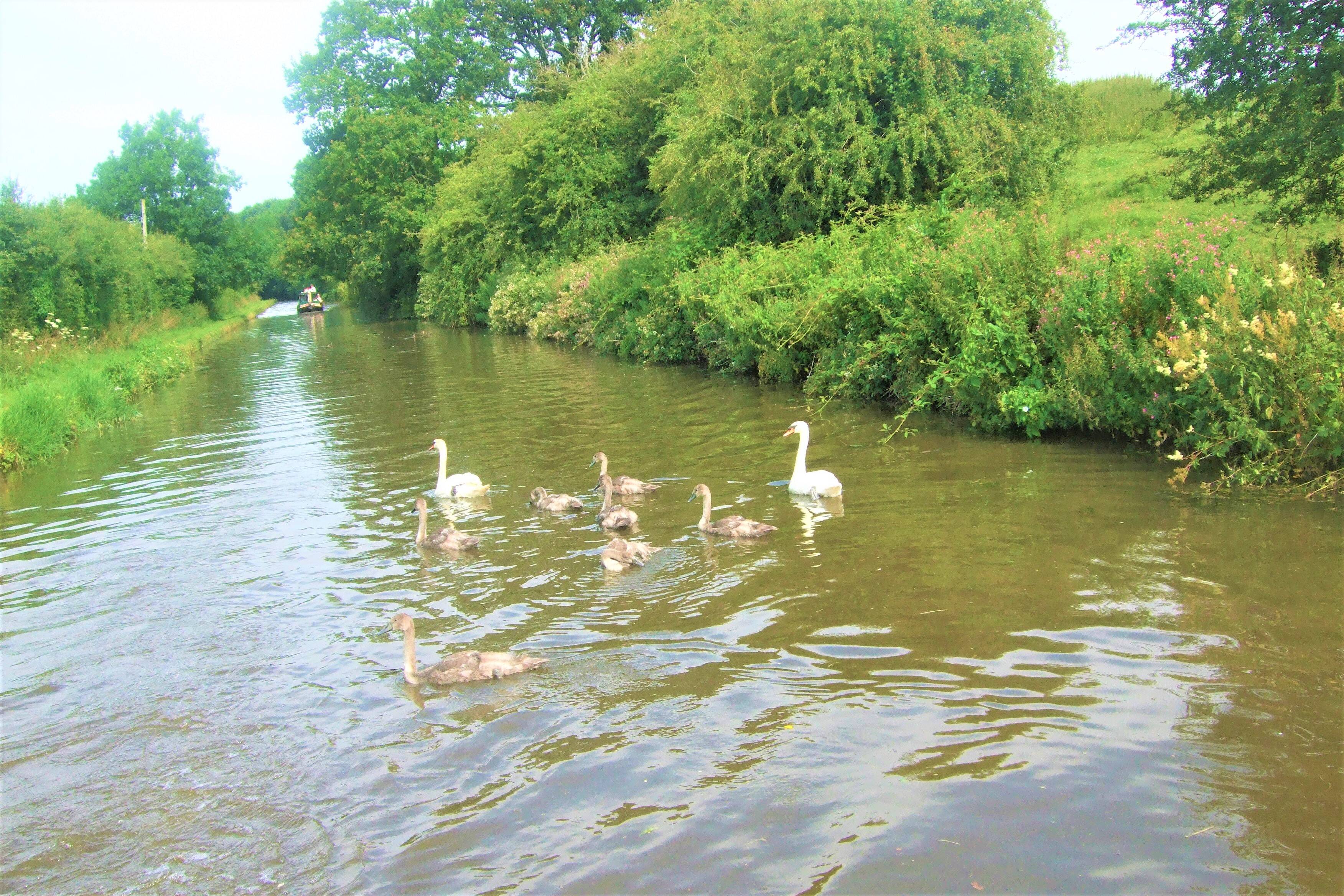 Market Drayton & Return ABC Boat Hire