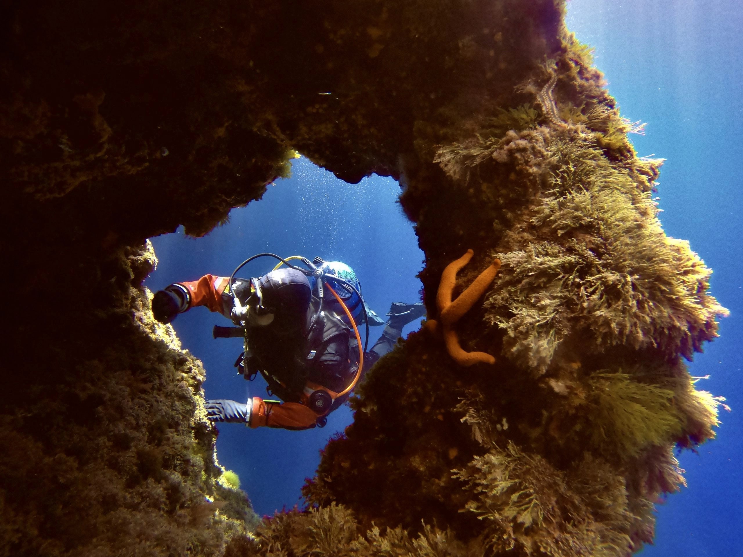 Dive Malta & Gozo Daily Guided Dive Trips ABC Diving Malta