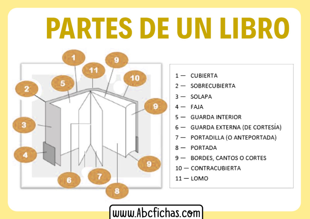 Estructura y Partes de un Libro