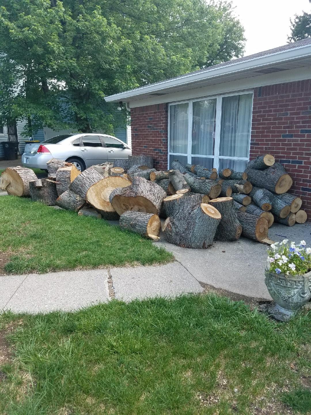 Looking for Yard Waste Removal Near You? » ABC Junk Removal & Hauling