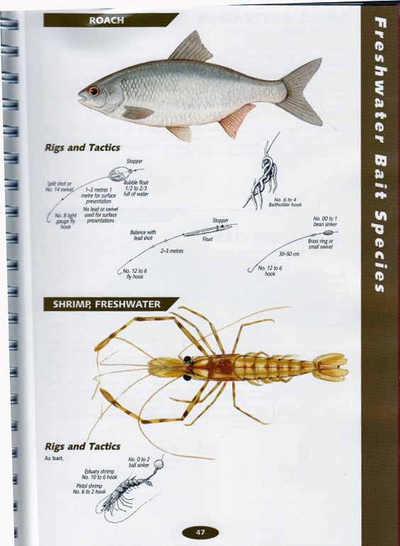 Australian Fish Guide Large Spiral Bound A.B.C. Maps