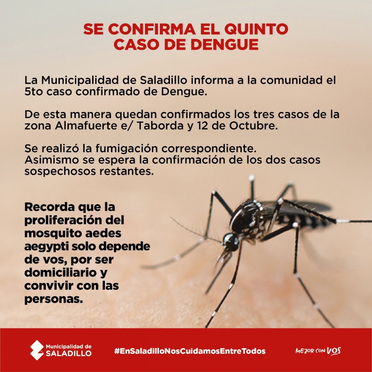 Confirmaron el quinto caso de dengue
