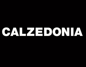 Calzedonia: 180 Posti Per Magazzinieri, Addetti Vendita, Impiegati, Sarte, Ecc 233_x_300_jpg