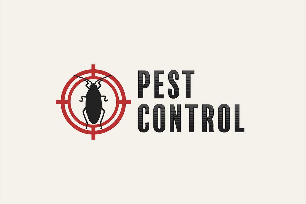 10 Reasons To Hire a Professional Pest Control Company