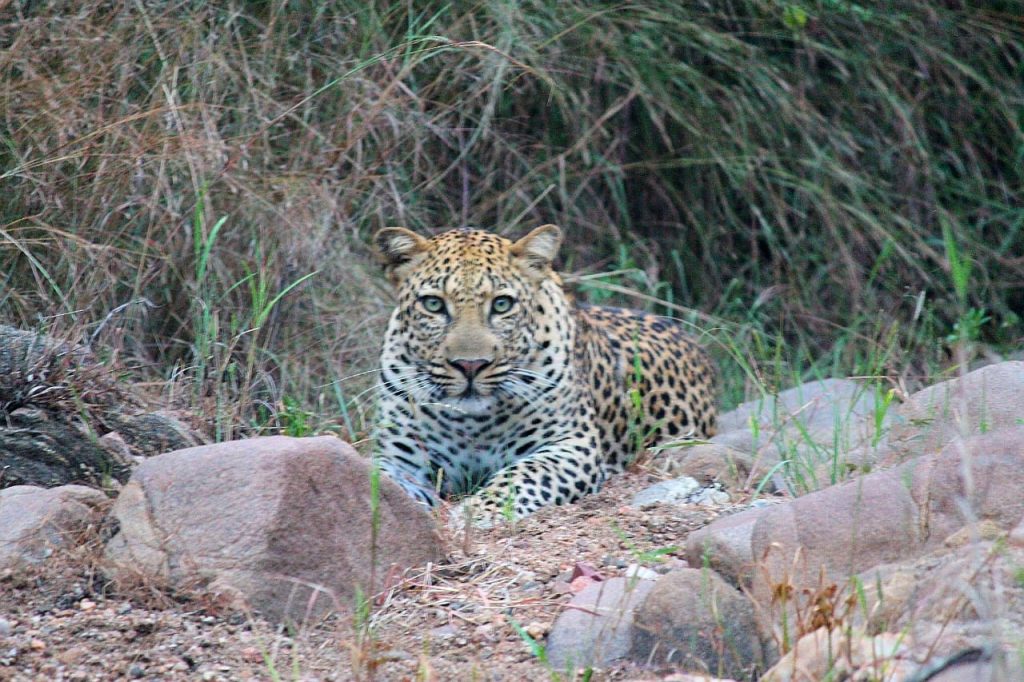 Specials Abelana Game Reserve