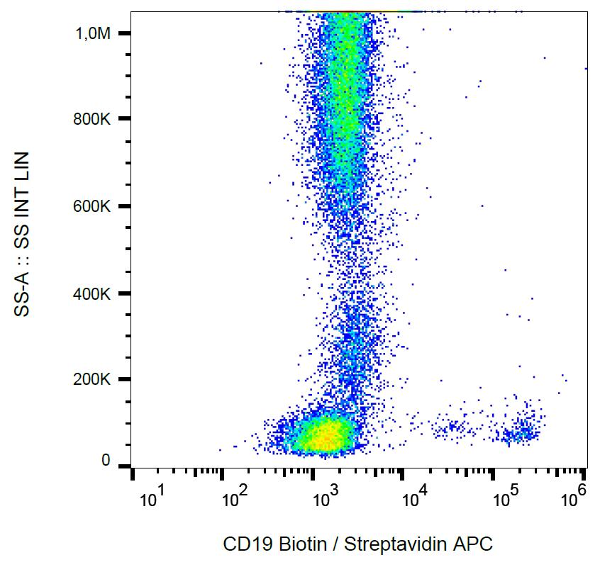 AntiCD19 Monoclonal Antibody LT19Biotin Conjugate