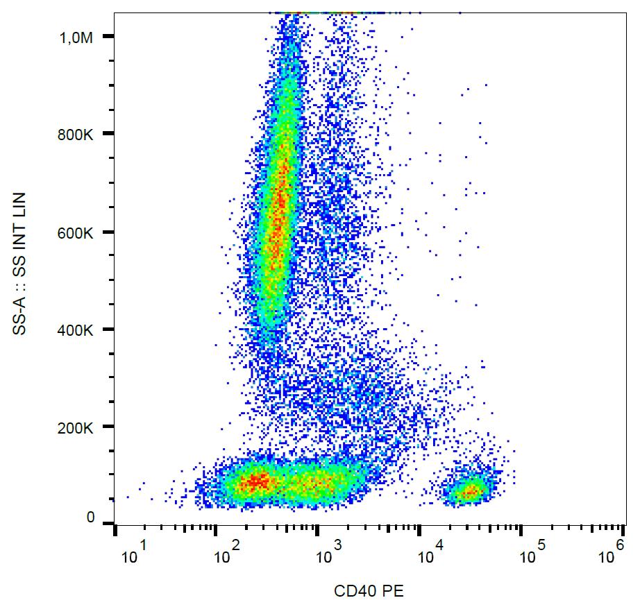 AntiCD40 Monoclonal Antibody HI40aPE Conjugate